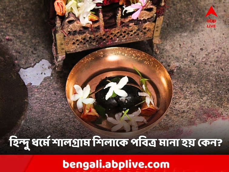 Narayan Pujo Why Lord Vishnu worship as shaligram shila rituals Lord Vishnu: অভিশাপে পাথর হয়েছিলেন স্বয়ং বিষ্ণু! সেই কারণেই কি নারায়ণ রূপে শালগ্রাম শিলার পুজো করা হয়?