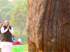 Sonia, Rahul Pay Tribute To Indira Gandhi On Birth Anniversary