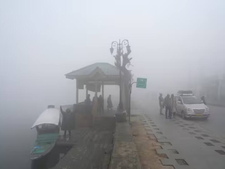 जे वर्षाच्या या हंगामात सामान्य तापमानापेक्षा 1.2 अंश सेल्सिअस कमी आहे.