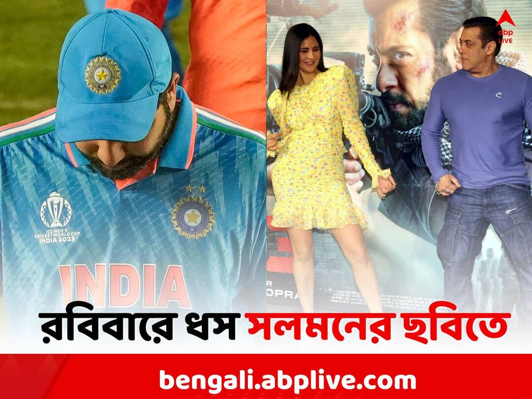 Tiger 3 Box Office Collection On ODI World Cup 2023: Tiger 3 has major losses on last Sunday IND vs AUS Final Tiger 3 On ODI World Cup 2023: বিশ্বকাপ ফাইনালের দিনে 'ধসের মুখে' সলমনের টাইগার ৩ !