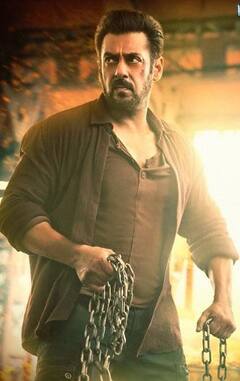 Tiger 3 Box Office: कमाई के मामले में डिजास्टर है Salman Khan की Tiger 3? आंकड़ों की जुबानी जानिए