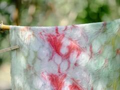 Clothes Stain Removal : வெள்ளை உடையில் பிடித்த சாயத்தை சட்டுனு போக்க சுலபமான டிப்ஸ்!