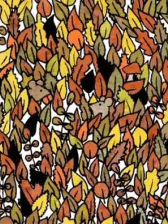 इस तस्वीर में आपने क्या देखा, 10 सेकेंड में क्या ढूंढ पाएंगे आप?