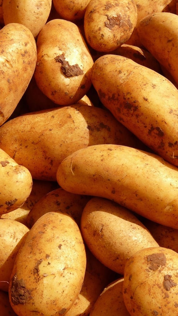 সব খাবারেই আলু চান? হতে পারে এই বিপদ