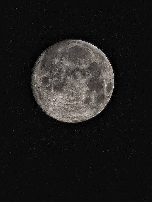 चांद पर सबसे पहले उगाया गया कौन सा पौधा!