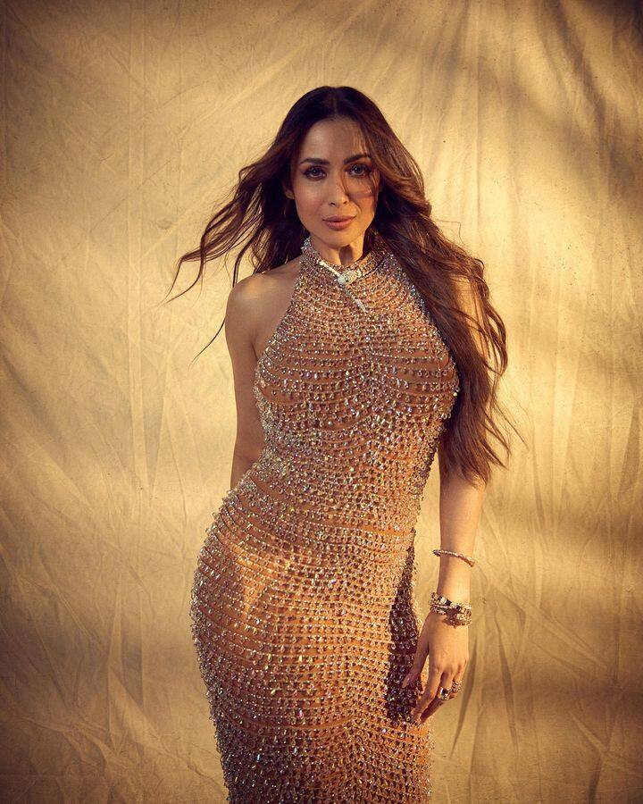 मलायका अरोरा भलेही तिच्या अभिनयाने काही खास करू शकली नसेल, पण तिने आपल्या स्टाईलने आणि डान्सिंग टॅलेंटने जगभरात खळबळ उडवून दिली आहे.