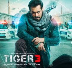 Tiger 3 Box Office: कमाई के मामले में डिजास्टर है Salman Khan की Tiger 3? आंकड़ों की जुबानी जानिए