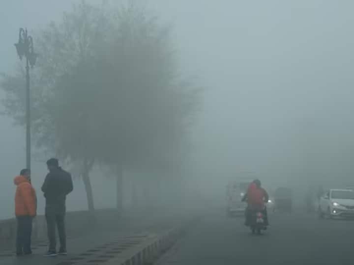 Kashmir Cold Wave:  काश्मीरमध्ये रविवार 19 नोव्हेंबर रोजी  श्रीनगरसह अनेक ठिकाणी किमान तापमान शून्याच्या खाली होते.