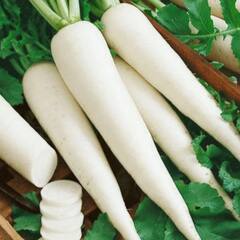 ਕੀ ਤੁਸੀਂ ਜਾਣਦੇ ਹੋ ਮੂਲੀ ਖਾਣ ਦੇ ਨੁਕਸਾਨ?