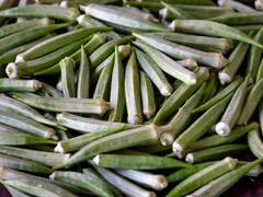 Ladies Finger Water Benefits : வெண்டைக்காய் ஊற வைத்த தண்ணீர் குடிப்பதால் கிடைக்கும் நன்மைகள்..!