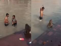 नदी में रोमेंस कर रहा था कपल, अचानक बंदर ने बोला हमला...तो प्रेमिका प्रेमी को अकेला छोड़कर भागी, देखें VIDEO