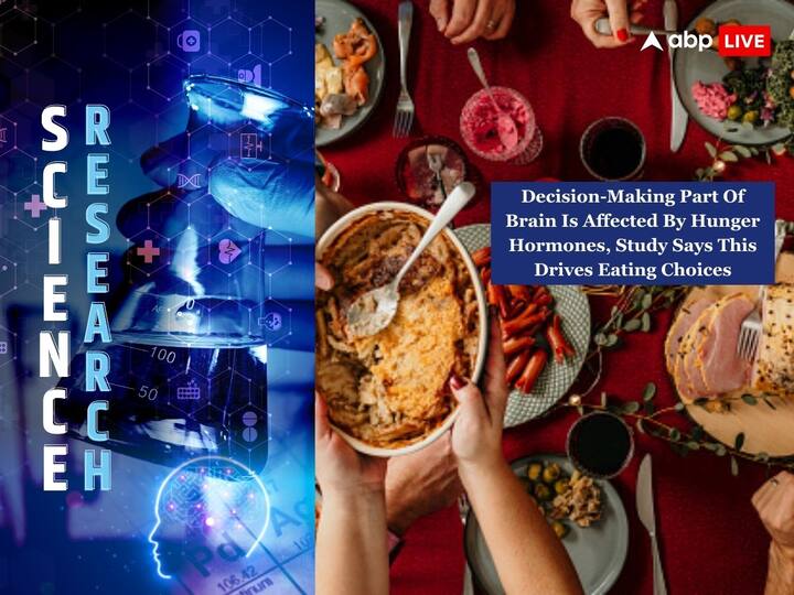 Decision Making Part Of Brain Is Affected By Hunger Hormones Study Says This Drives Eating Choices ABPP Decision-Making Part Of Brain Is Affected By Hunger Hormones, Study Says This Drives Eating Choices