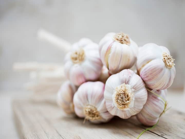 Housewives' budget disrupted due to surge in garlic prices, know how much the price per kg is લસણના ભાવમાં ભડકો થતાં ગૃહિણીઓનું બજેટ ખોરવાયું, જાણો પ્રતિ કિલો કેટલો છે ભાવ