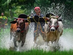 Kisan Credit Card: કિસાન ક્રેડિટ કાર્ડથી સસ્તા વ્યાજ દરે ખેડૂતેને મળે છે લોન, આ ડોક્યુમેંટ્સની પડે છે જરૂર