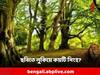 Viral News: একটা নয়, তিনটে সিংহ লুকিয়ে এই ছবিতে! আপনার চোখে ধরা পড়ল?