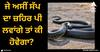 Snake Venom: ਜੇ ਅਸੀਂ ਸੱਪ ਦਾ ਜ਼ਹਿਰ ਪੀ ਲਵਾਂਗੇ ਤਾਂ ਕੀ ਹੋਵੇਗਾ? ਕੀ ਤੁਰੰਤ ਮੌਤ ਹੋਵੇਗੀ? ਜਾਣੋ ਦਿਲਚਸਪ ਜਵਾਬ