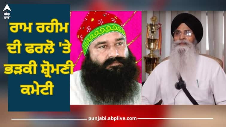 distrust and discrimination among Sikhs due to government dual policy, Shiromani Committee is furious over Ram Rahim furlough ABPP Ram Rahim: ਸਰਕਾਰਾਂ ਦੀ ਦੋਗਲੀ ਨੀਤੀ ਕਾਰਨ ਸਿੱਖਾਂ 'ਚ ਬੇਭਰੋਸਗੀ ਤੇ ਵਿਤਕਰੇ ਦਾ ਮਾਹੌਲ, ਰਾਮ ਰਹੀਮ ਦੀ ਫਰਲੋ 'ਤੇ ਭੜਕੀ ਸ਼੍ਰੋਮਣੀ ਕਮੇਟੀ 