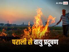 'पराली जलाने के लिए सिर्फ एक माचिस लगती है', दिल्ली वायु प्रदूषण पर सुनवाई के वक्त क्या बोले SC के जज?