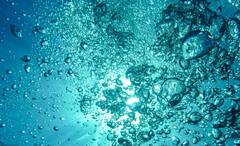 Ocean Water: মুখে দেওয়া যায় না, এতটাই লবণাক্ত হয় সাগর-মহাসাগরের জল, কিন্তু কেন?