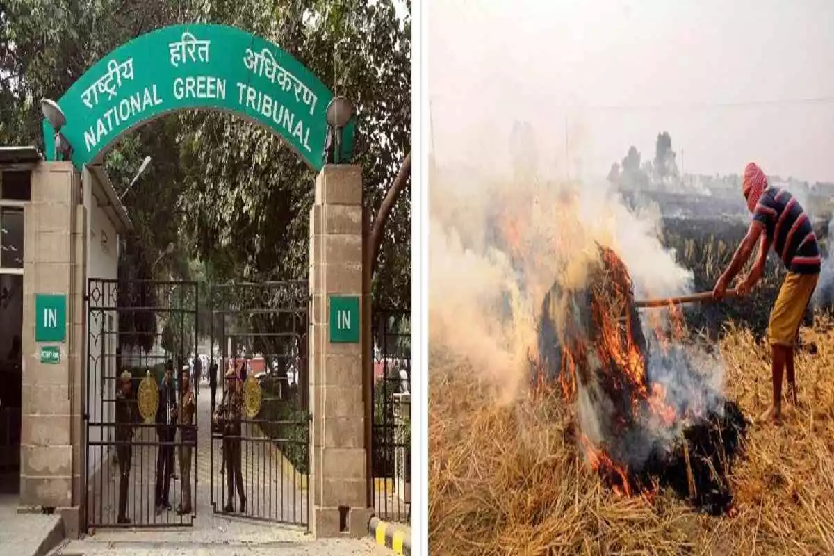Stubble Burning: ਪੰਜਾਬ ਦੇ ਕਿਸਾਨਾਂ ਕਰਕੇ ਮਾਨ ਸਰਕਾਰ ਦੀ NGT ਨੇ ਲਗਾ ਦਿੱਤੀ ਕਲਾਸ, ਸਾਰੇ ਦਾਅਵੇ ਨਿਕਲੇ ਫੋਕੇ 