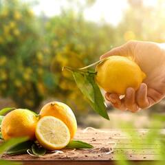 ਸਰਦੀਆਂ 'ਚ ਇੰਝ ਪੀਓ 'ਨਿੰਬੂ ਪਾਣੀ' ਹੋਣਗੇ ਜ਼ਬਰਦਸਤ ਫ਼ਾਇਦੇ