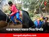 Viral Video: ভিডিও বানাতে গরুর সামনে তুমুল নাচ! গুঁতো খেয়ে উল্টে যুবতী