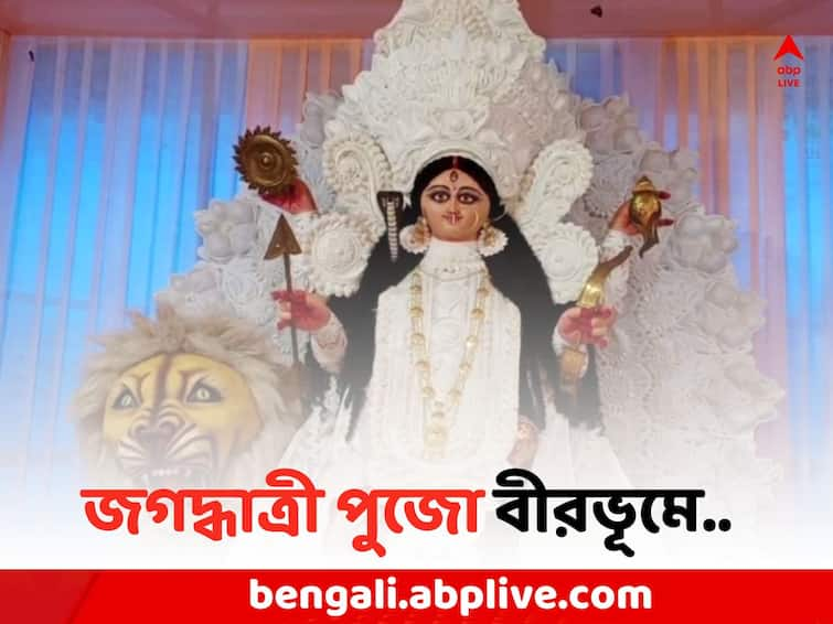 Jagaddhatri Puja 2023: Jagaddhatri Puja continues around 450 years in Rampurhat Birbhum Jagaddhatri Puja 2023: দেখতে দেখতে প্রায় ৪৫০ বছর , দ্বারকা নদীর জল ভরে জগদ্ধাত্রী পুজো বীরভূমে