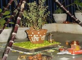 Tulsi Vivah 2023: 23 કે 24 નવેમ્બર, ક્યારે છે તુલસી વિવાહ ? જાણો તારીખ અને શુભ મુહૂર્ત 