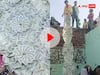 दूल्हे के गले में लटकी थी 500 के नोटों की विशालकाय माला, फटी रह गई लोगों की आंखें, बोले- 'इसी पैसे से घर की...'