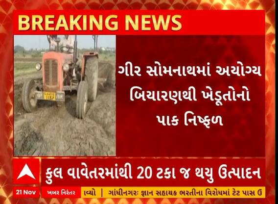 Kodinar Farmers | કોડિનારના ખેડૂતો બિયારણ ફેલ જતા પરેશાન, કુલ વાવેતરમાંથી ખાલી 20 ટકા જ ઉત્પાદન