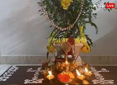 Tulsi Vivah 2023: ਤੁਲਸੀ ਵਿਆਹ ਕਦੋਂ 23 ਜਾਂ 24 ਜਾਣੋ ਸਹੀ ਤਰੀਕ ਅਤੇ ਸ਼ੁਭ ਸਮਾਂ