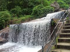 கோவை குற்றாலம் ஒரு வாரத்திற்கு பிறகு இன்று திறப்பு ; சுற்றுலா பயணிகள் மகிழ்ச்சி