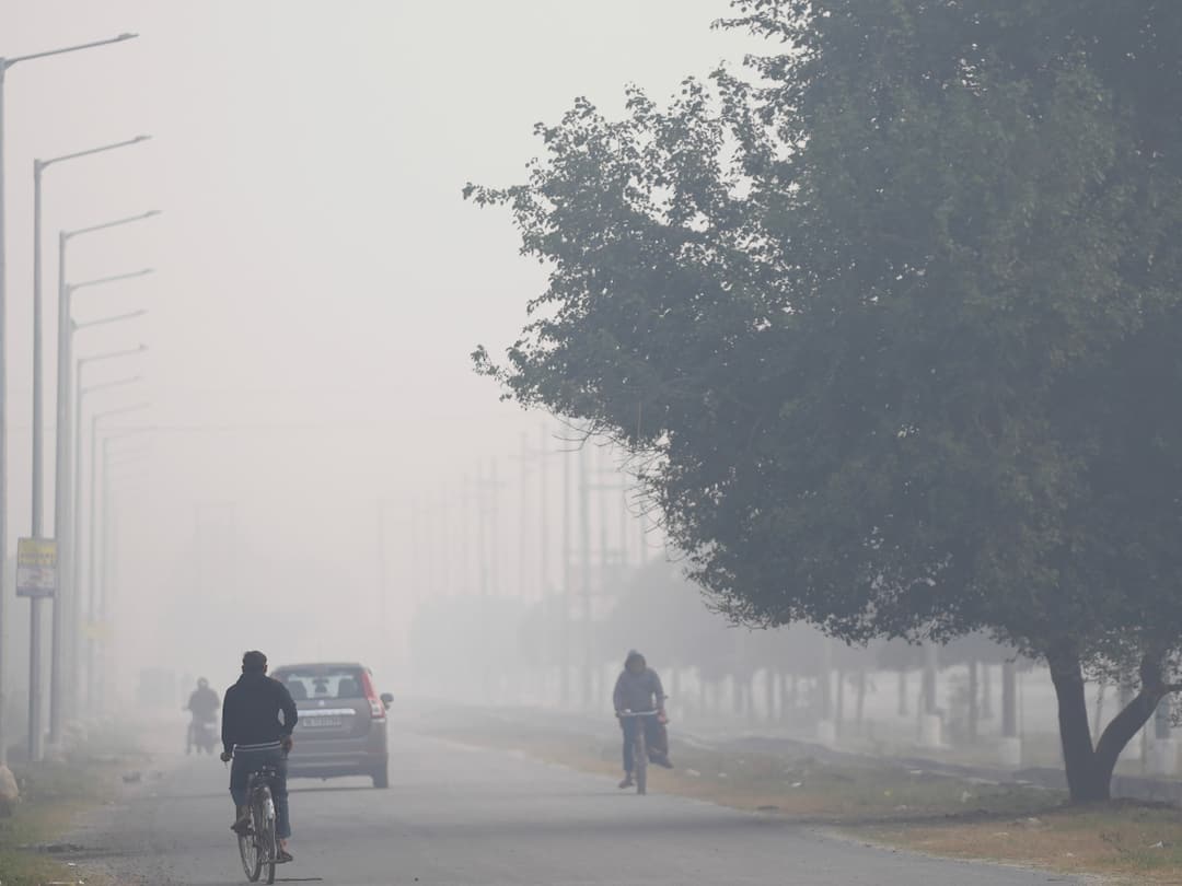 No Cold Wave For Now In North India, Heavy Rainfall Expected In Kerala, TN: IMD No Cold Wave For Now In North India, Heavy Rainfall Expected In Kerala, TN: IMD