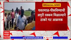 Yavatmal Farmer : यवतमाळमध्ये पीकविम्याची अपुरी रक्कम मिळाल्याने ठाकरे गट आक्रमक : ABP Majha