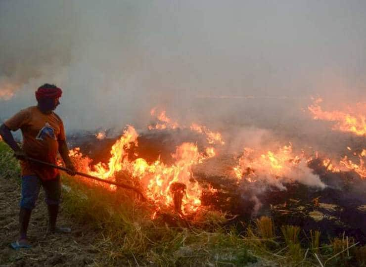 SC Pulls Up Punjab Govt Over Stubble Burning, Asks Delhi, UP Govts To File Action-Taken Report