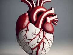 Health Tips: નાની ઉંમરમાં લોકો સ્ટ્રોકનો શિકાર બની રહ્યા છે, શું તણાવ અને પ્રદૂષણ જવાબદાર છે?