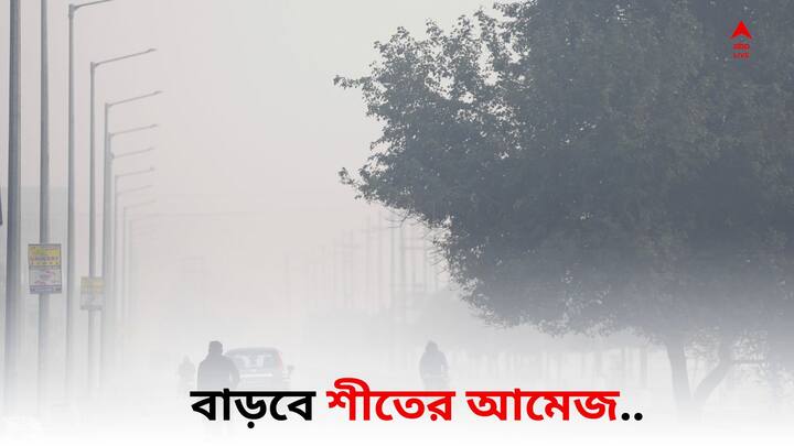 West Bengal Weather Update: মাস পেরোলেই ডিসেম্বর।  হিমেল পরশ নাকি আজ জগদ্ধাত্রী পুজোর দিনে নামতে পারে বৃষ্টি ? বিস্তারিত জানাল আবহাওয়া দফতর  ।