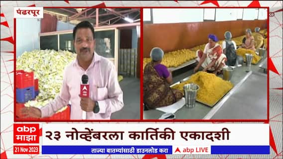 Pandharpur : कार्तिकी एकादशीसाठी 10 लाख बुंंदीचे लाडू