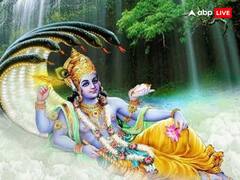 Dev Uthani Ekadashi 2023: शादी में हो रही है देरी तो देवउठनी एकादशी के दिन जरुर कर लें ये काम