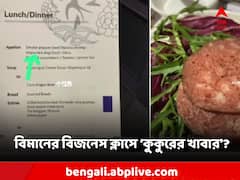বিজনেস ক্লাস যাত্রীদের দেওয়া হল ‘কুকুরের খাবার’! কারণ জানলে অবাক হবেন