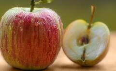 Apple Seeds: পেটে গাছ না গজালেও, আপেল দানা চিবোলে যেতে পারে প্রাণও, তবে রয়েছে ট্যুইস্ট