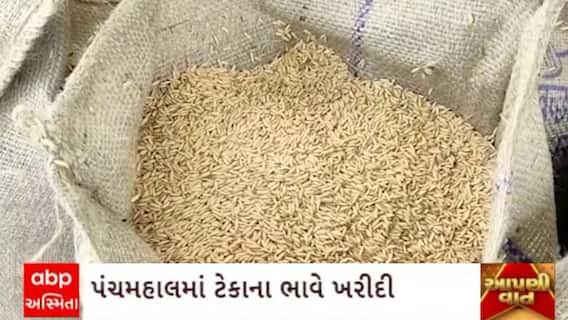 Panchmahal News : પંચમહાલ જિલ્લામાં ડાંગર, મકાઈ અને બાજરીની થઈ ટેકાના ભાવે ખરીદી