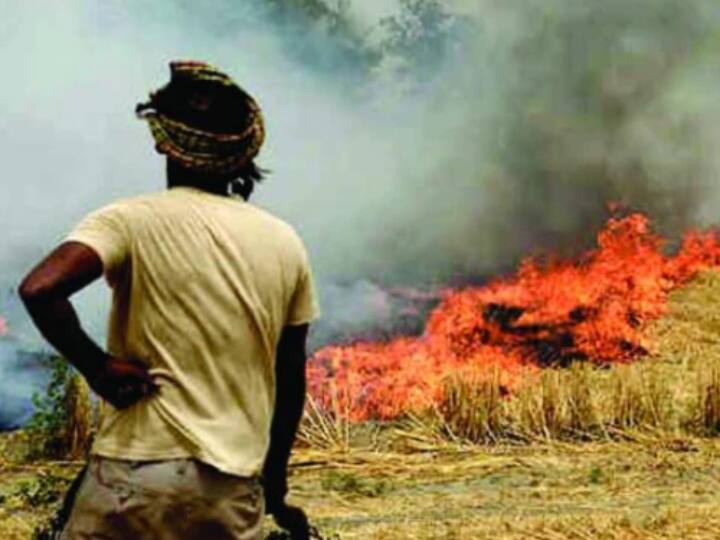 Punjab Stubble Burning Amid farmers protests 634 new cases of stubble registered FIR against 1084 people Punjab Stubble Burning: पंजाब में किसानों के विरोध-प्रदर्शन के बीच पराली जलाने के 634 नए मामले दर्ज, 1084 लोगों पर FIR