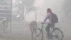 Weather Update: বাড়বে শীতের আমেজ, জগদ্ধাত্রী পুজো পেরোলেই ২০-র নিচে নামতে পারে পারদ