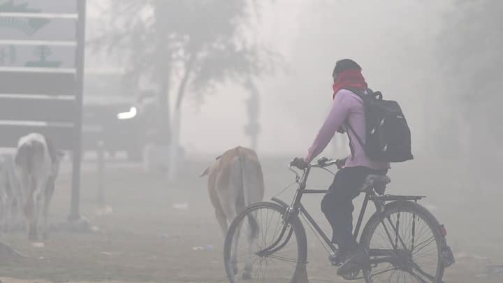 আবহাওয়া দফতর সূত্রে খবর, উত্তরবঙ্গের দার্জিলিং এবং কালিম্পংয়ে হালকা বৃষ্টির সামান্য সম্ভাবনা রয়েছে।