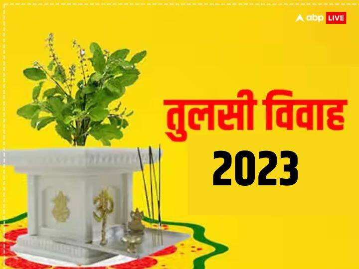 Tulsi vivah 2023: 24 नवंबर 2023 को तुलसी विवाह पर 4 शुभ योग का संयोग बन रहा है, ऐसे में इस दिन व्रत रखने वालों और तुलसी मां का विवाह करना वालों पर मां लक्ष्मी धन की वर्षा करेंगी.