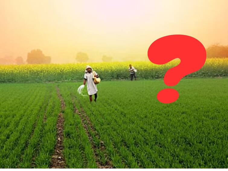 Know about what to do if 2 thousand in Kisan Samman Nidhi Yojana is not deposited in your account PM-Kisan Samman Nidhi : कागद पे कागद आणि बँकेत चकरा मारूनही खात्यात दोन हजार जमा नाहीत? पंचायतमध्ये जाऊन हे काम करावं लागेल!