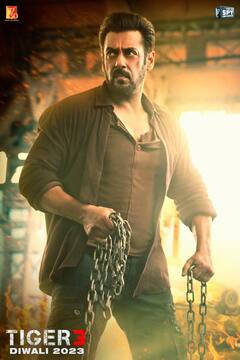 Tiger 3: इन फिल्मों को पीछे छोड़ते हुए 'टाइगर 3' ने गाड़े झंडे, सलमान की फिल्म बनी अब तक की सबसे बड़ी दिवाली हिट