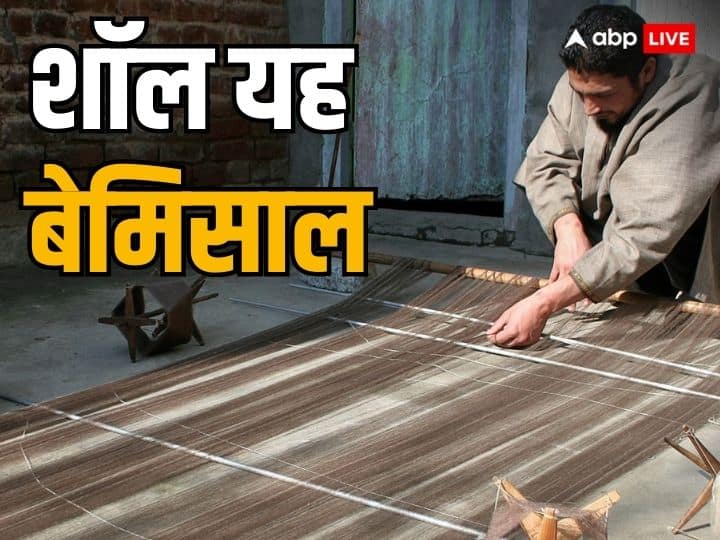 Pashmina And Shahtoosh Shawl Price Know What is Shahtoosh Shawl and why