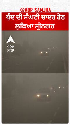 Srinagar city ਧੁੰਦ ਦੀ ਸੰਘਣੀ ਚਾਦਰ ਹੇਠ ਲੁਕਿਆ